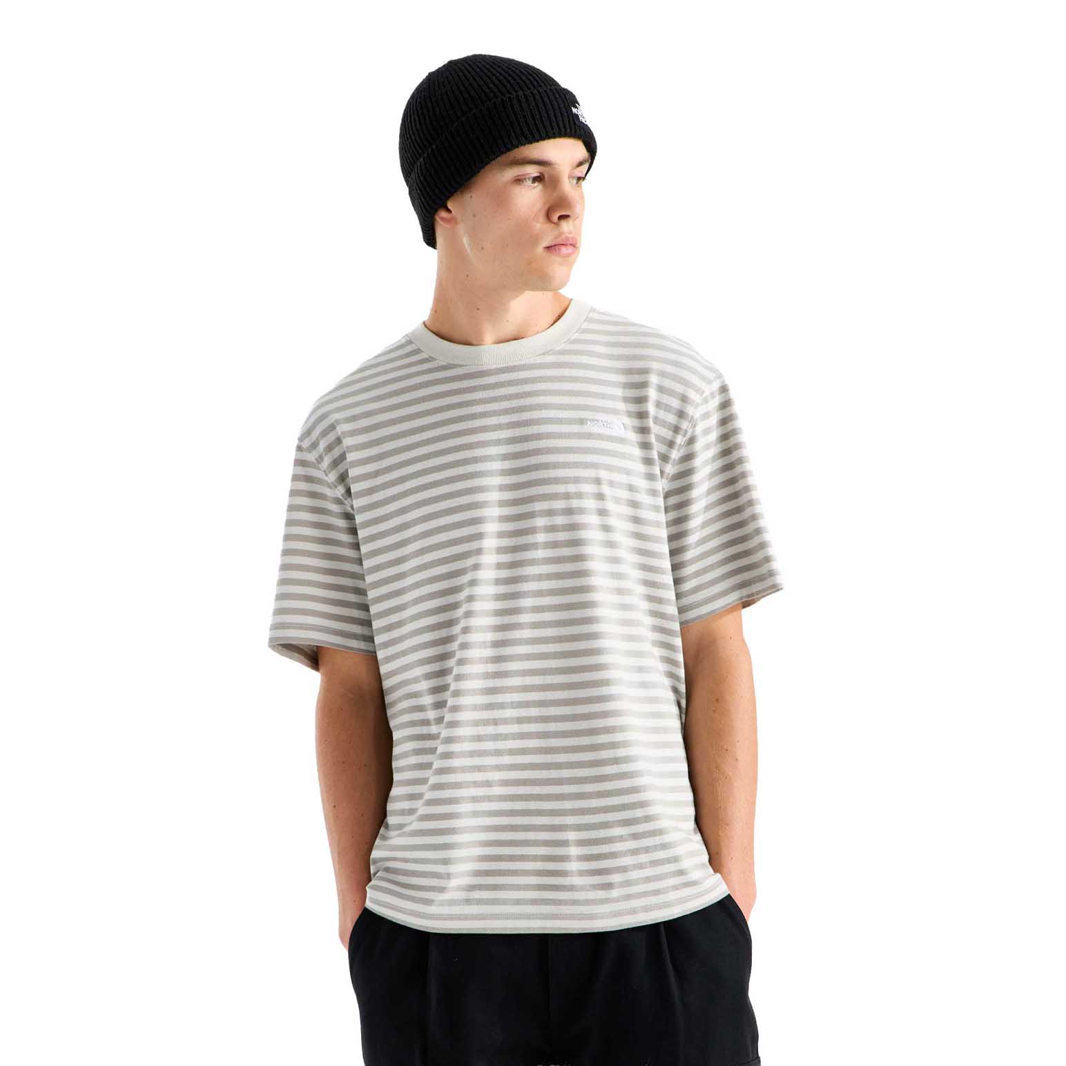 The North Face Men's Vista Stripe Ss Tee